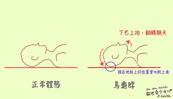 烏龜脖2