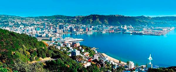 Wellington_2.jpg