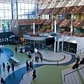 道格拉斯學院