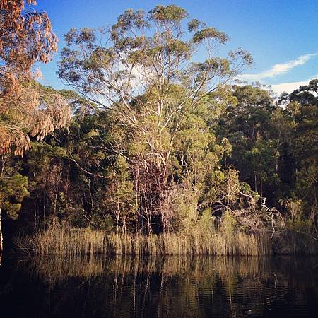 taken @ Fraser Island, QLD