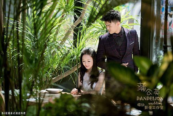 蒲公英 (1).jpg