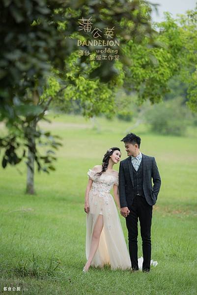 蒲公英 (4).jpg