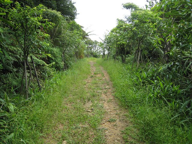 IMG_0153.jpg