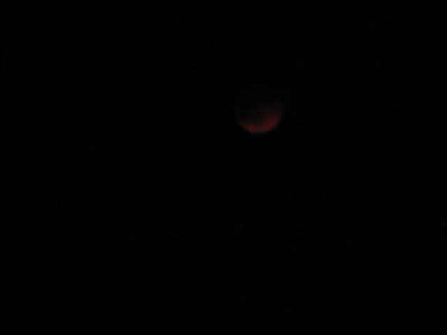 IMG_0705.jpg