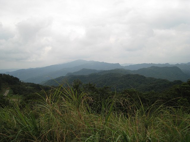 IMG_0969.jpg
