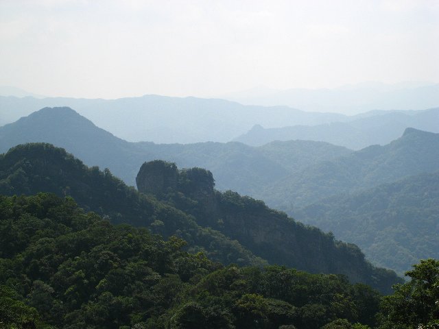 IMG_1022.jpg