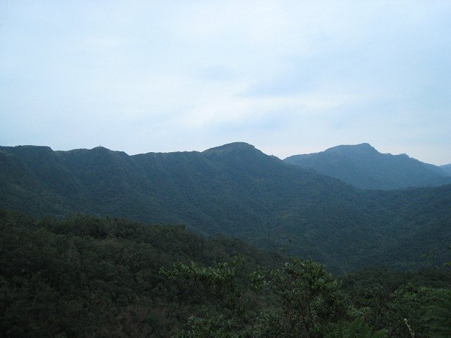 IMG_1938.jpg