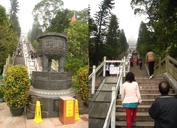 P130.jpg