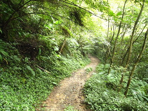 06.jpg