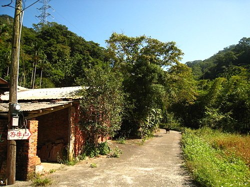 07.jpg