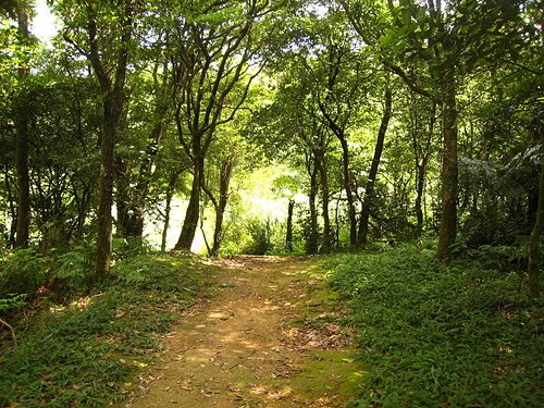 07.jpg