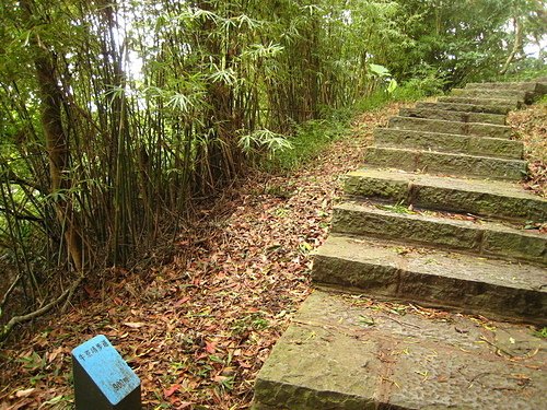 09.jpg