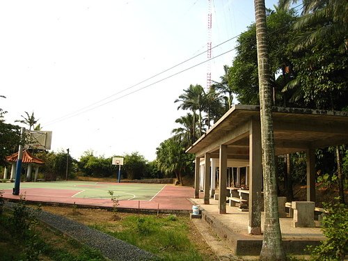 06.jpg