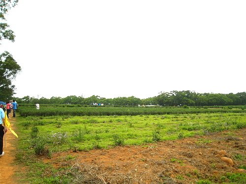 06.jpg