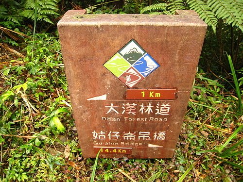 06.jpg