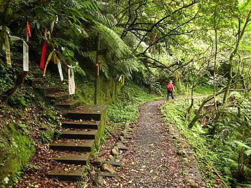 990725【北縣平溪】東勢格古道、臭頭山、中央尖山