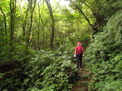 990725【北縣平溪】東勢格古道、臭頭山、中央尖山