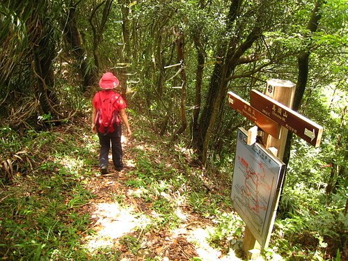 990725【北縣平溪】東勢格古道、臭頭山、中央尖山