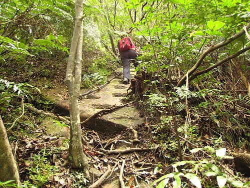 990725【北縣平溪】東勢格古道、臭頭山、中央尖山