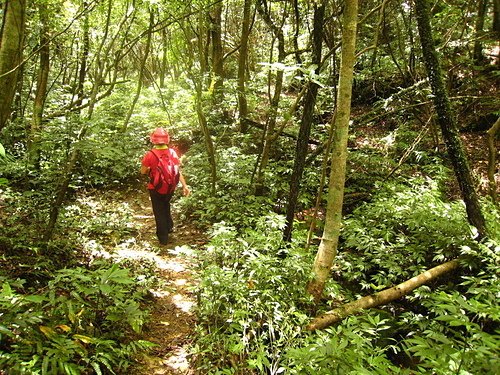 990725【北縣平溪】東勢格古道、臭頭山、中央尖山