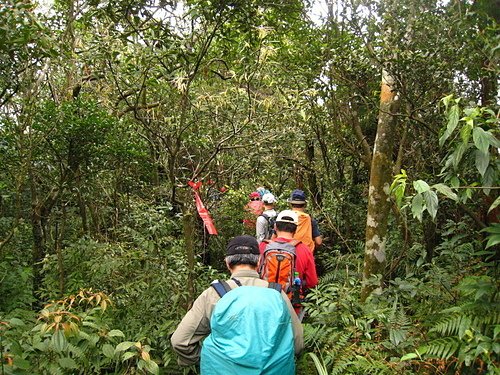 990221【北縣石碇】崩山大崙、石碇大崙、司公髻尾山、伏獅
