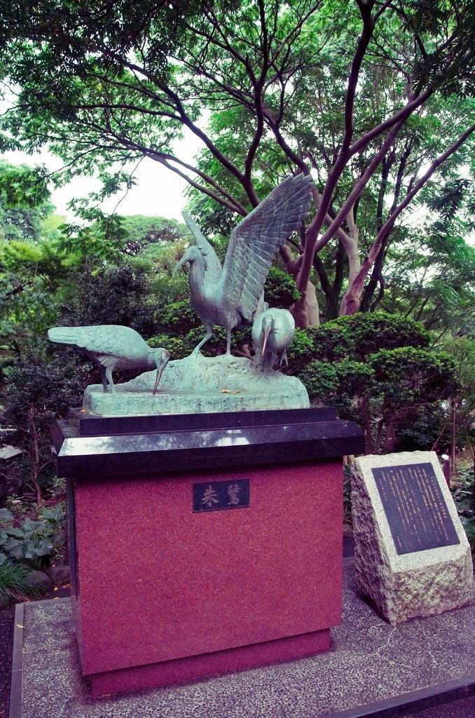 _0062772.JPG