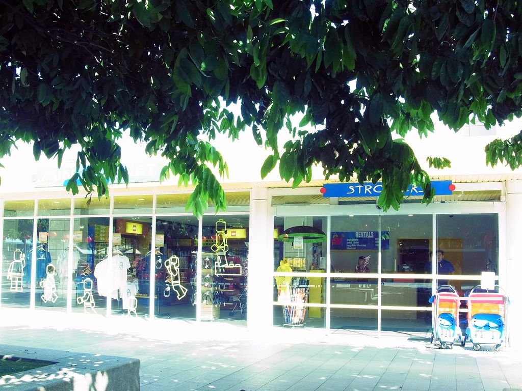 R1005860.JPG