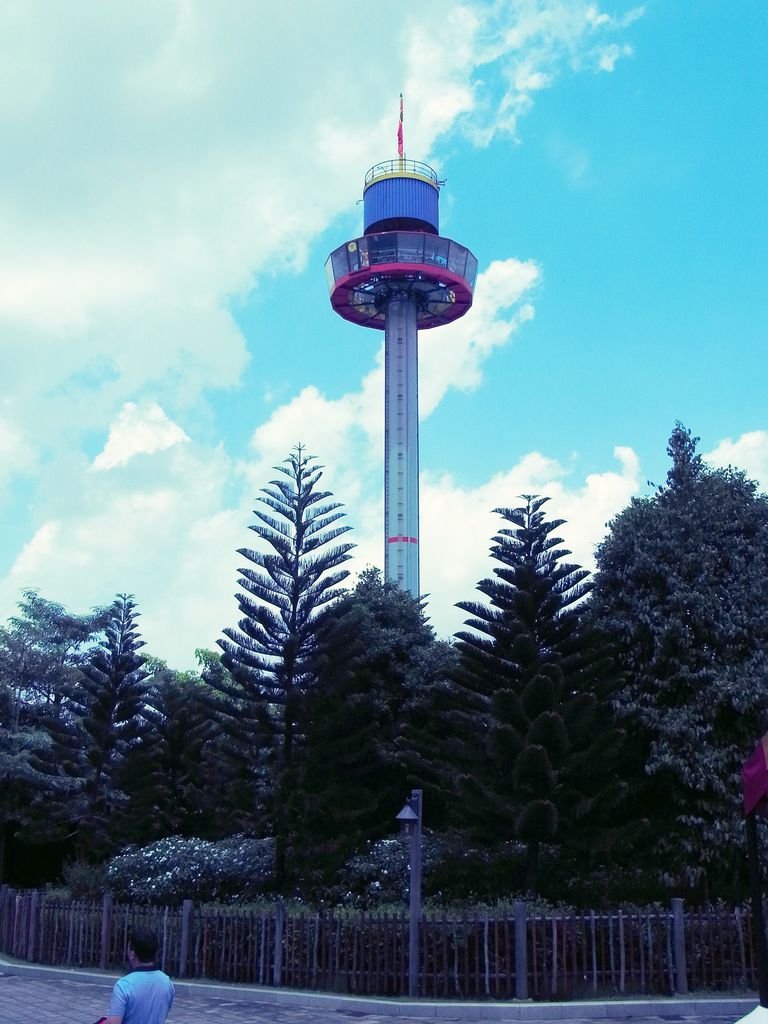 R1005990.JPG