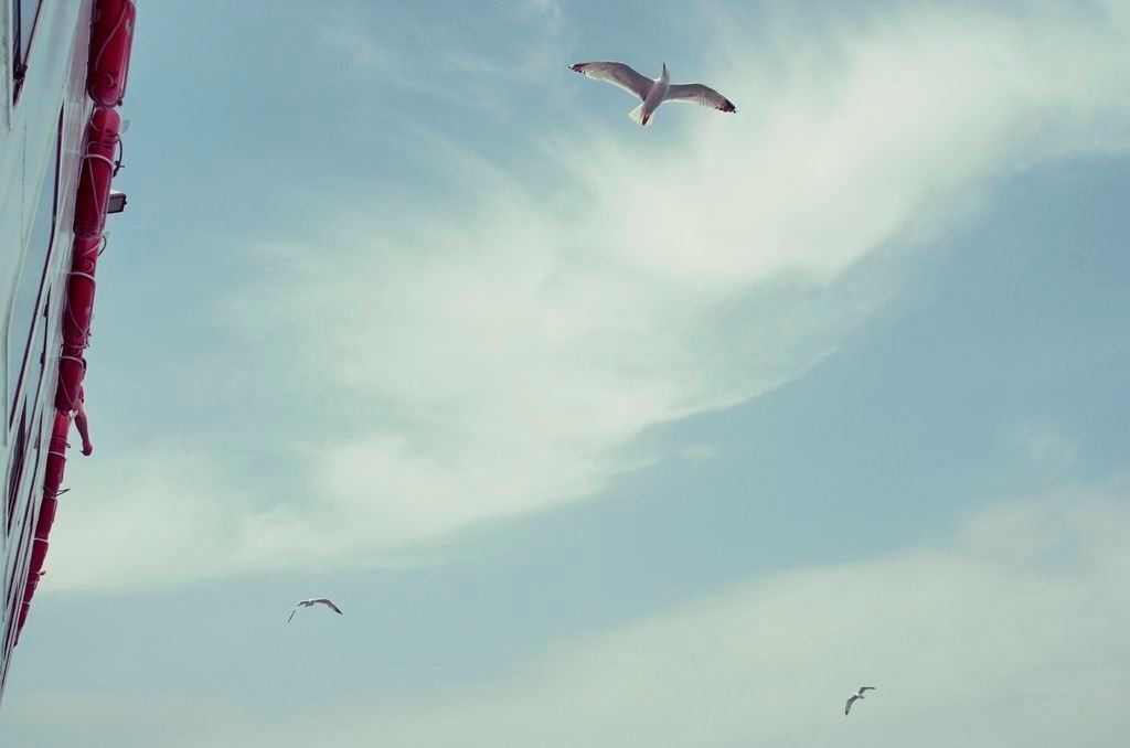 _0042636.JPG