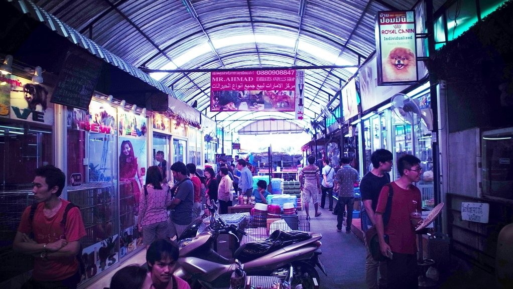 2015夏 緩慢旅行團泰國曼谷行：第3天 好買、好逛、好熱的