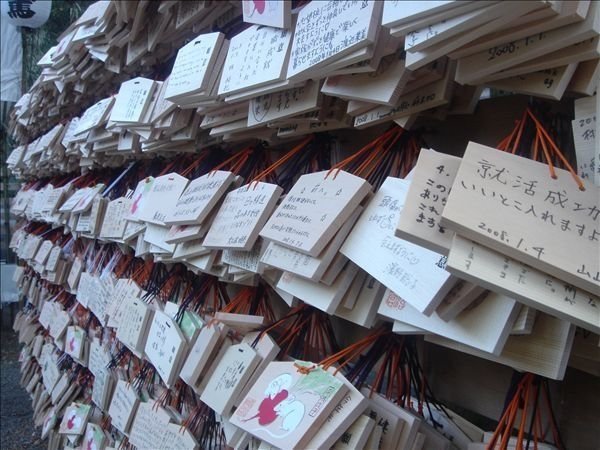 2008/元/04~08 東京自由行第5天：明治神宮悠閒走、