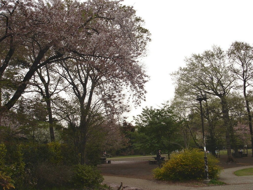 2006/04/12~16 東京之旅第2天：三鷹美術館