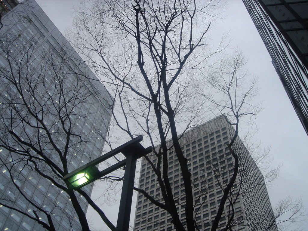 2006/04/12~16 東京之旅第1天：臺灣 ➙ 日本