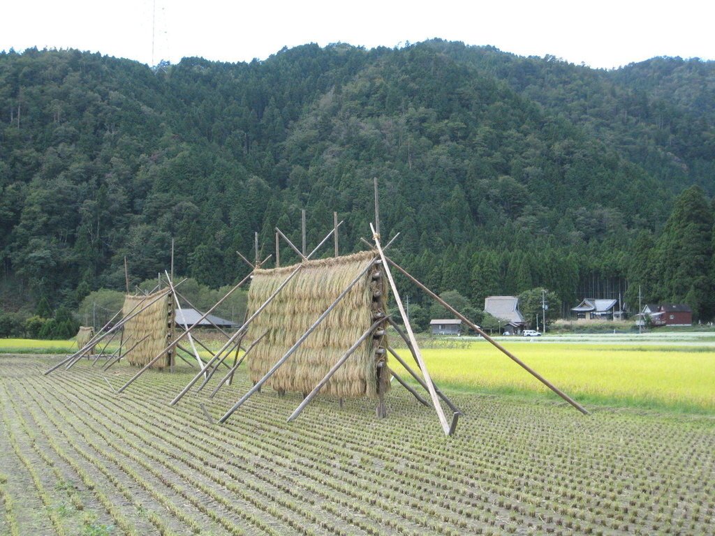 2010/9/13~9/26韓國首爾+日本關西之14天跨國緩