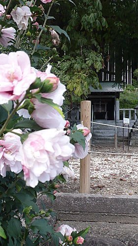 2010/9/13~9/26韓國首爾+日本關西之14天跨國緩