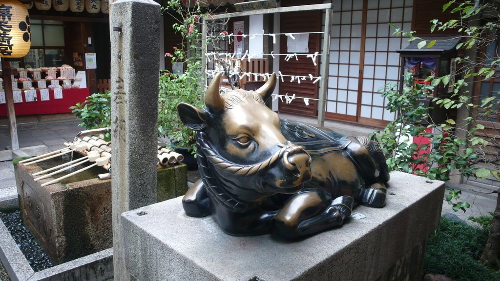2010/9/13~9/26韓國首爾+日本關西之14天跨國緩