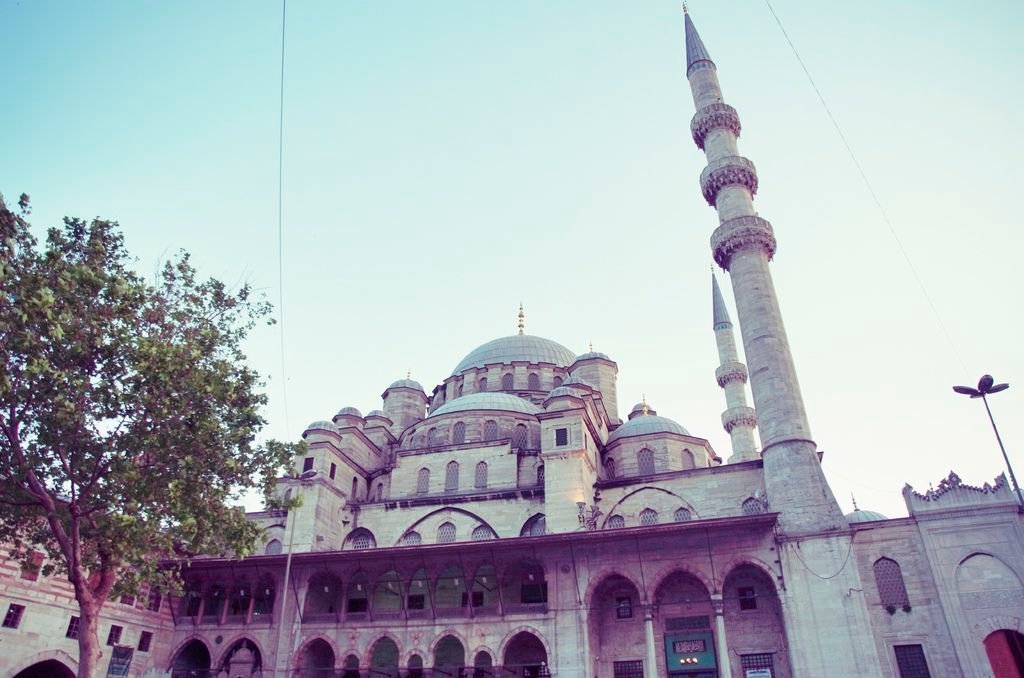 _0043014.JPG