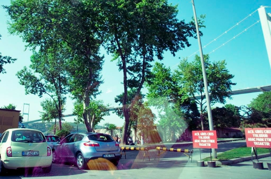 _0043358.JPG