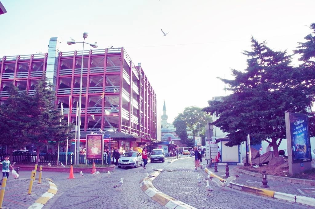 _0043431.JPG