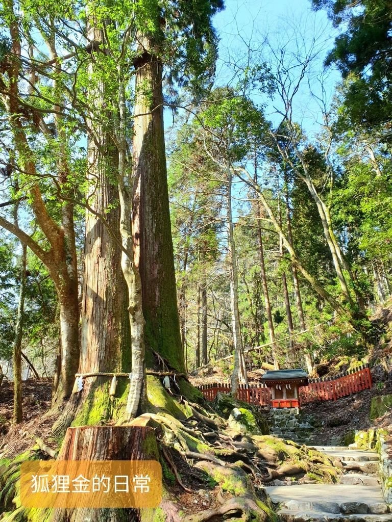 貴船神社_200202_0012.jpg