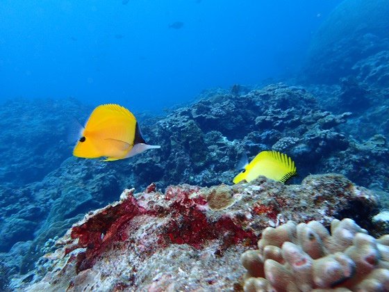 P8290153