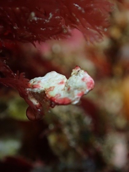 P8290129