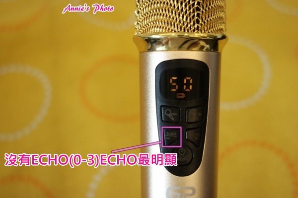 麥克風echo.jpg