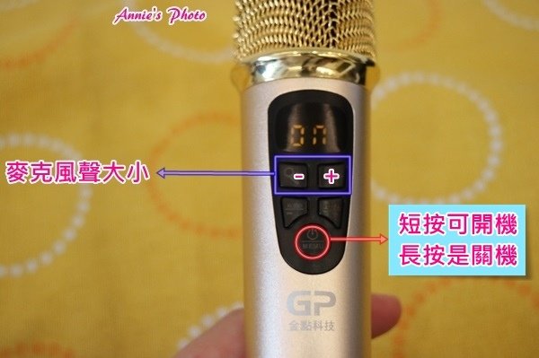 麥克風_4652.jpg