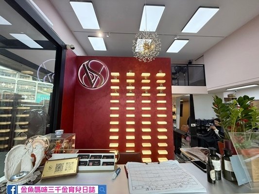 【寵物友善髮廊】西屯推薦髮廊｜VS Hair｜西屯染燙髮推薦
