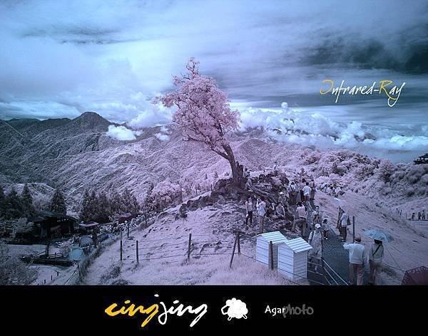 IR012-1.jpg