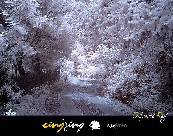 IR014-1.jpg