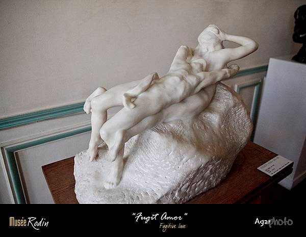 Rodin Mu14.JPG