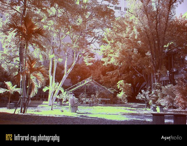 IR01.jpg