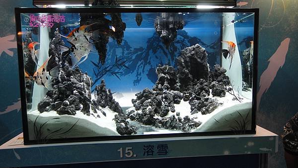 DSC01605